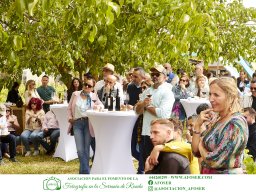 Festival Mar de Tethys 2026 - Bodega Vetas